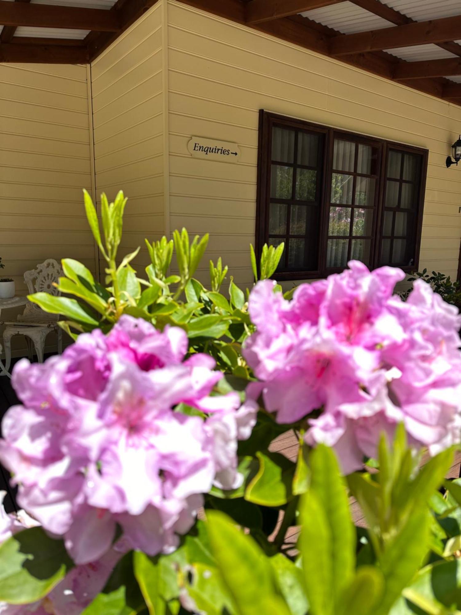 Valley Of The Waters B&B Вентворт-Фолс Екстер'єр фото